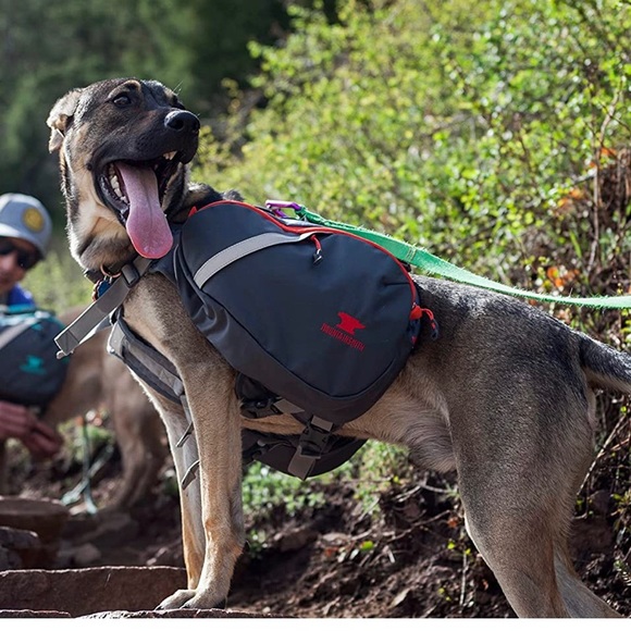 Mountain Smith dog pack